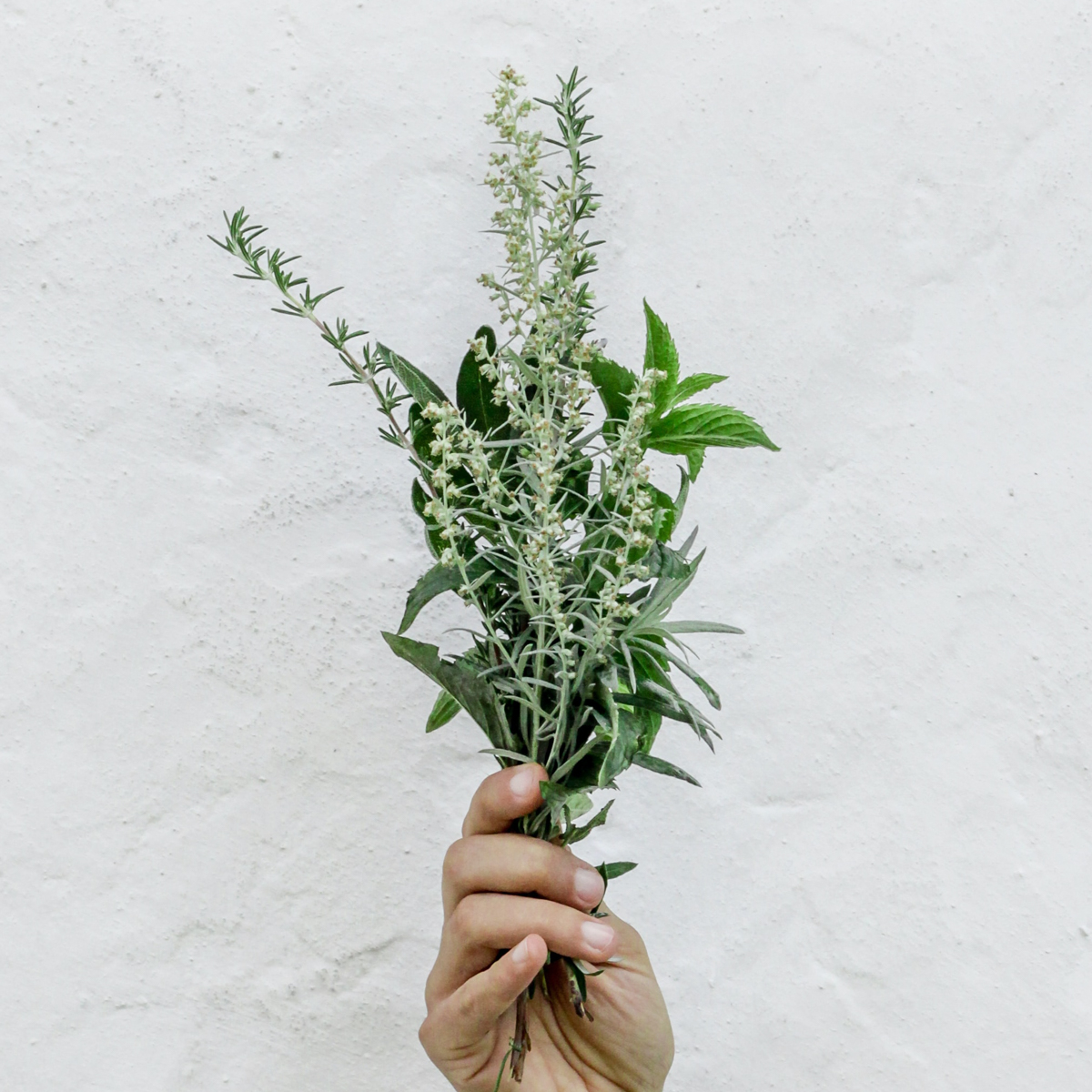 KrautCuisine © Nordwood Themes