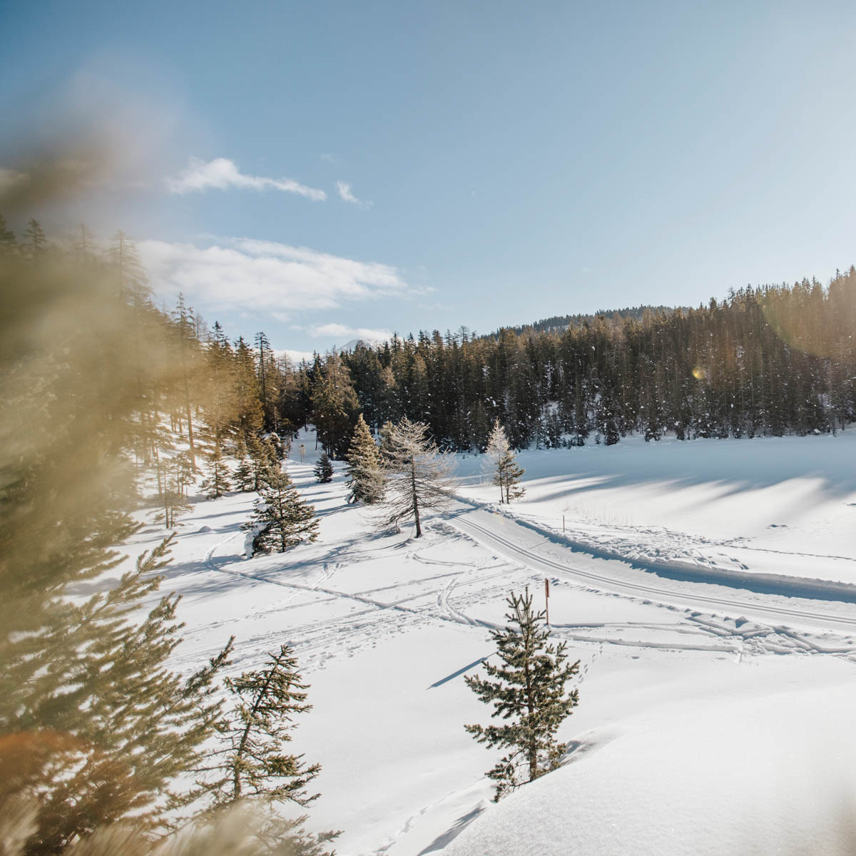 Olm Nature Escape-15