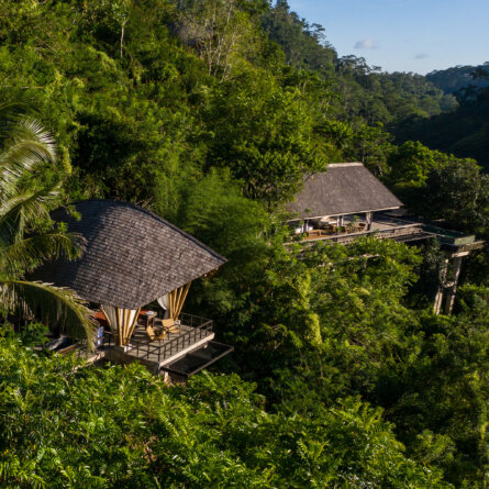 Buahan Banyan Tree Escape -10