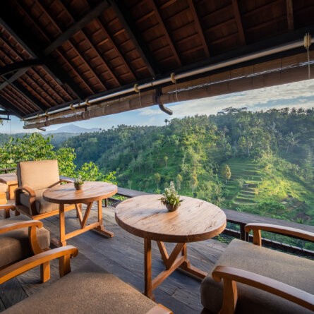 Buahan Banyan Tree Escape -20