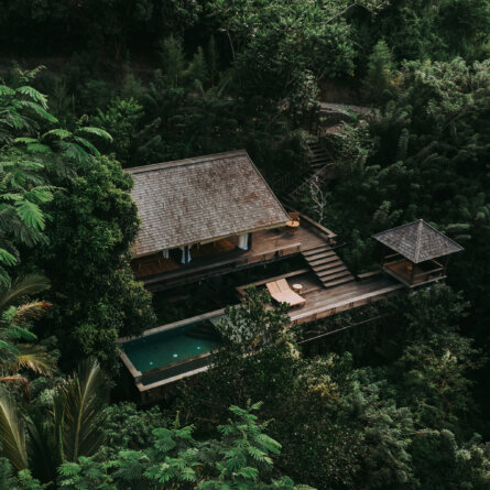 Buahan Banyan Tree Escape -50