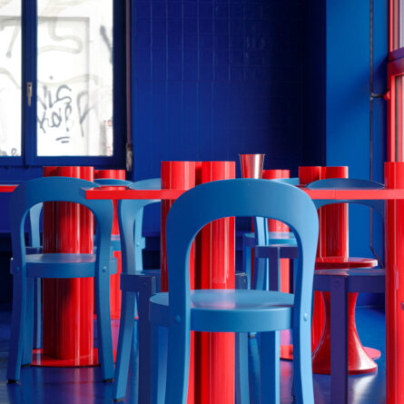 Roter Delfin Zürich © Ali Zigeli