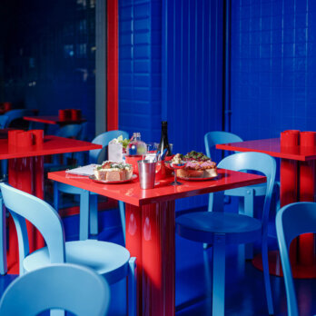 Roter Delfin Zürich 4 ©Ali Zigeli