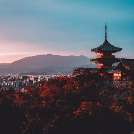 Japan I Foto von Su San Lee auf Unsplash-1