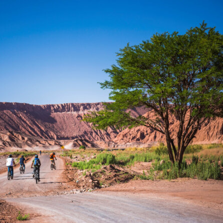 Nayara Alto Atacama-21