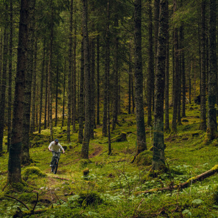 the Comodo _ Foto PION Studio-51