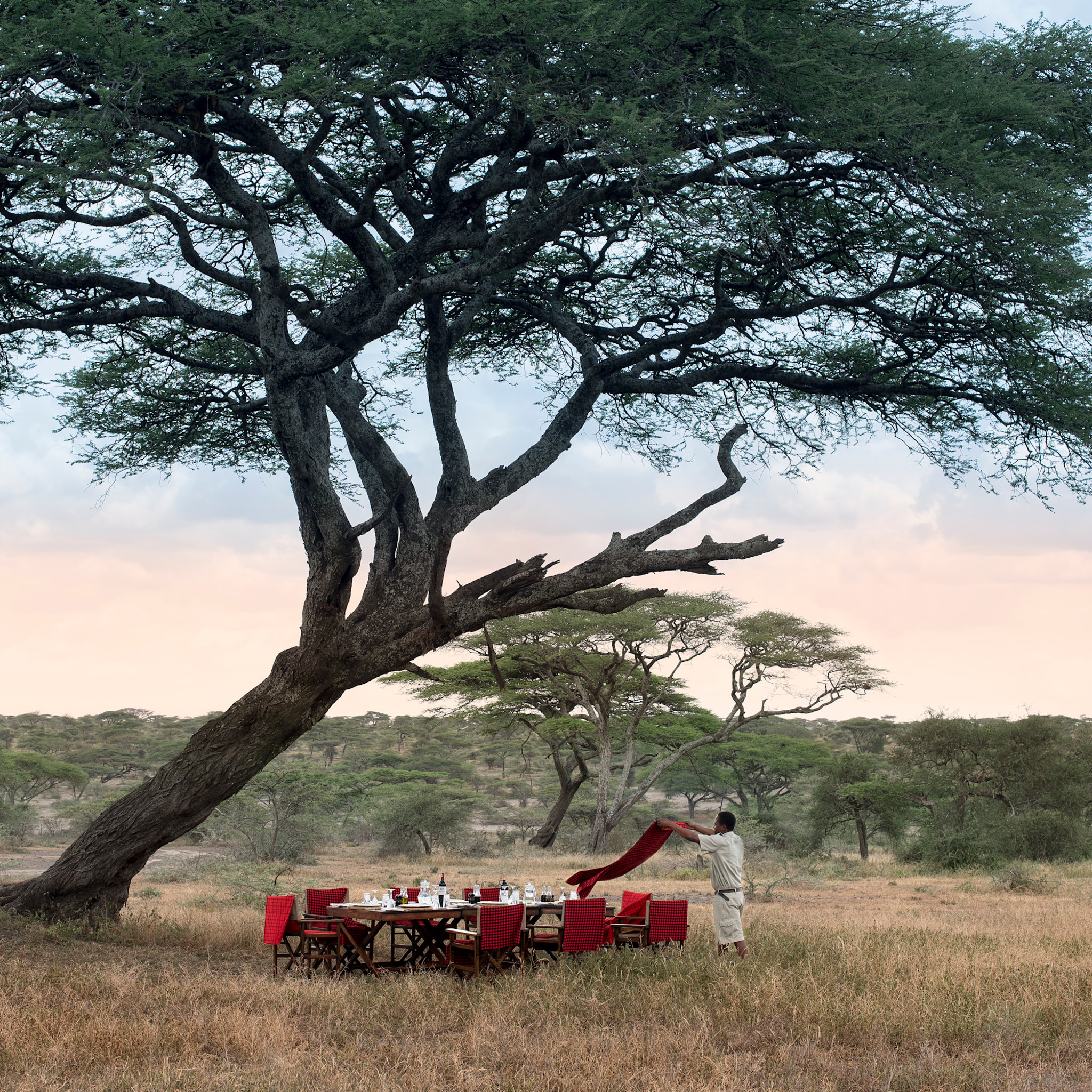 andBeyond-Serengeti-Under-Canvas-11