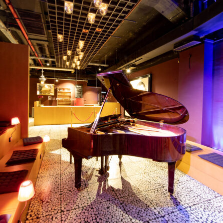 Die Stachelschweine Berlin-10