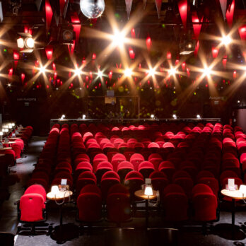 Die Stachelschweine Berlin-8