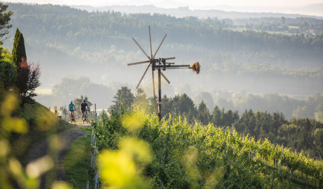 Genussvielfalt-auf-zwei-Raedern_Tourismusverband-Suedsteiermark_Velontour-info-2
