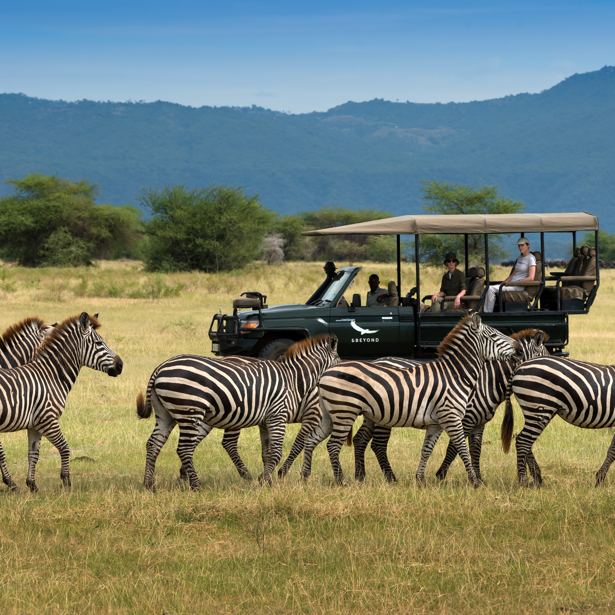 Tanzania Lake Manyara Tree Lodge-11