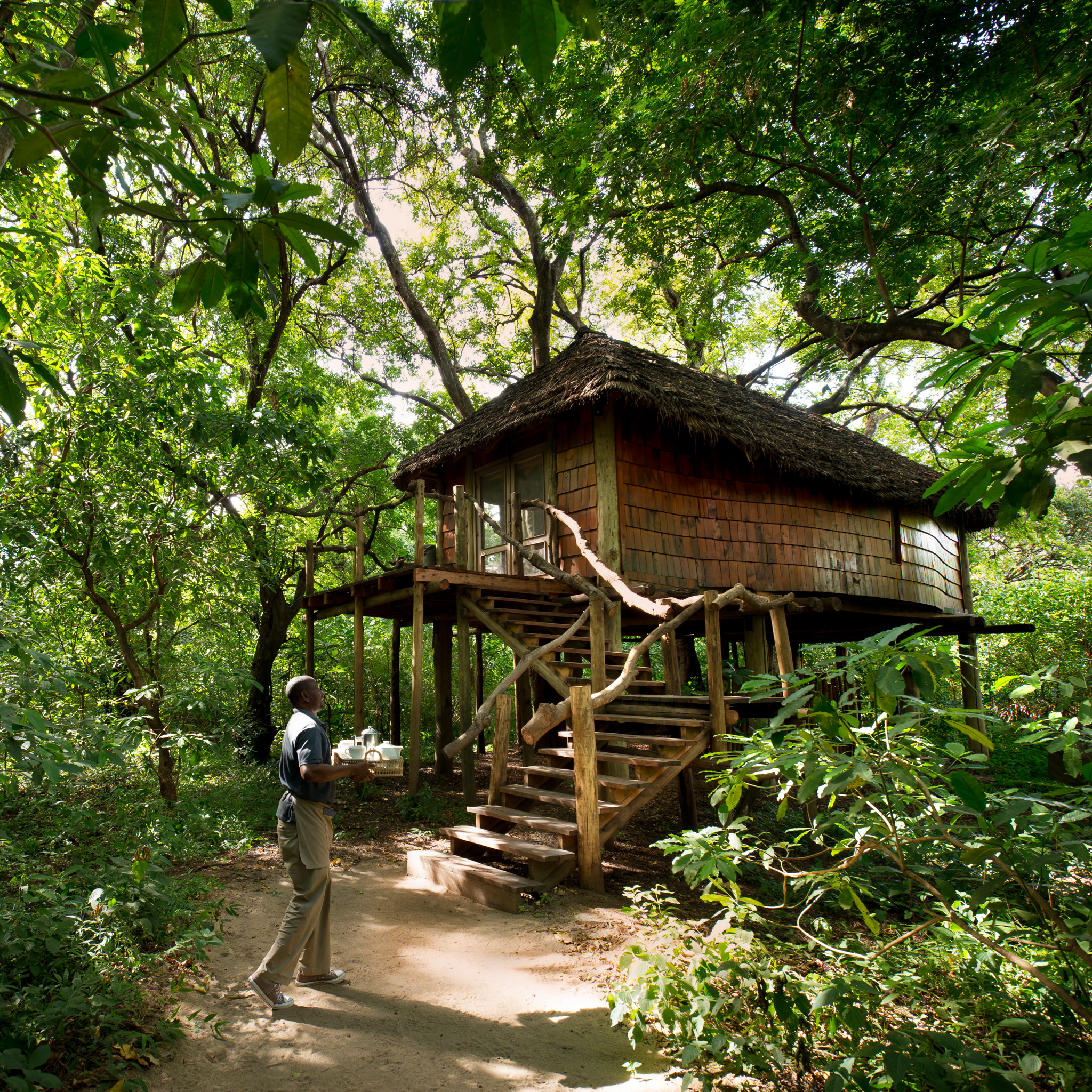Tanzania Lake Manyara Tree Lodge-21