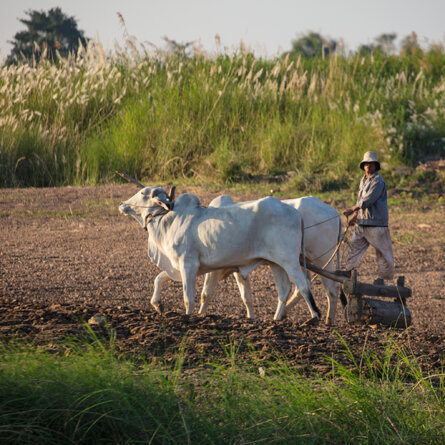 Aqua Mekong Luxus-Flusskreuzfahrtschiff-68