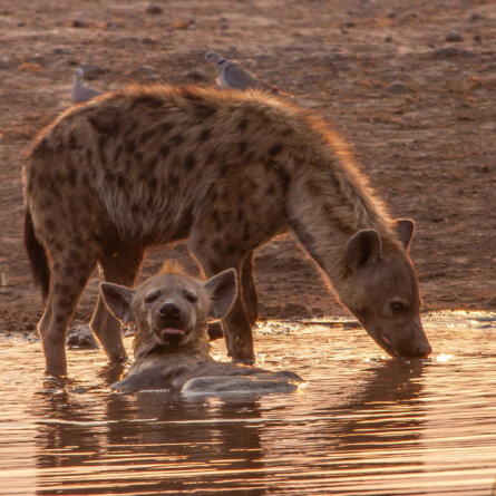 Namibia _ Foto Ute von Ludwiger
