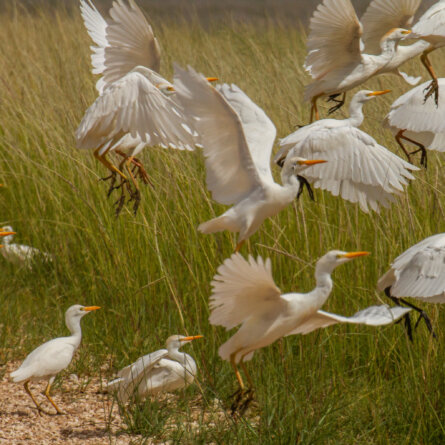 Namibia _ Foto Ute von Ludwiger -18