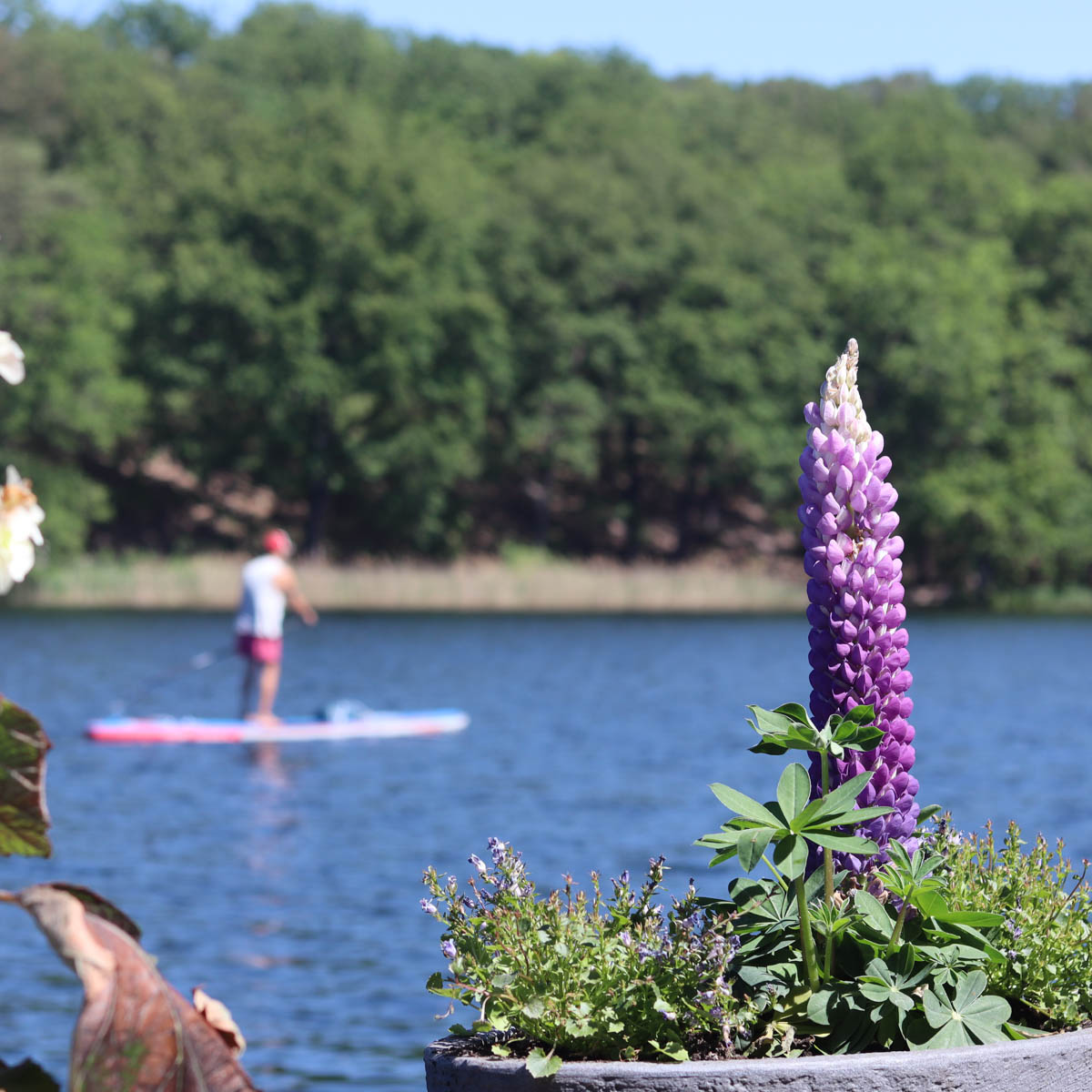 Café Bootsverleih Schlachtensee-03