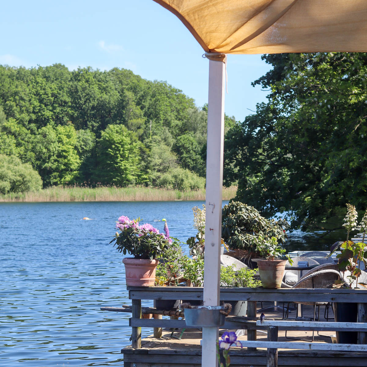 Café Bootsverleih Schlachtensee-06