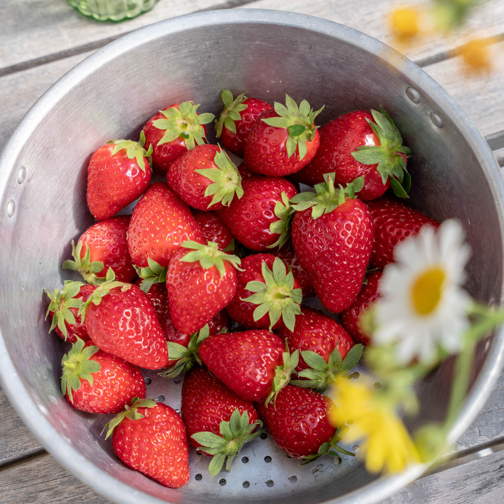 Albererhof Rpeortage