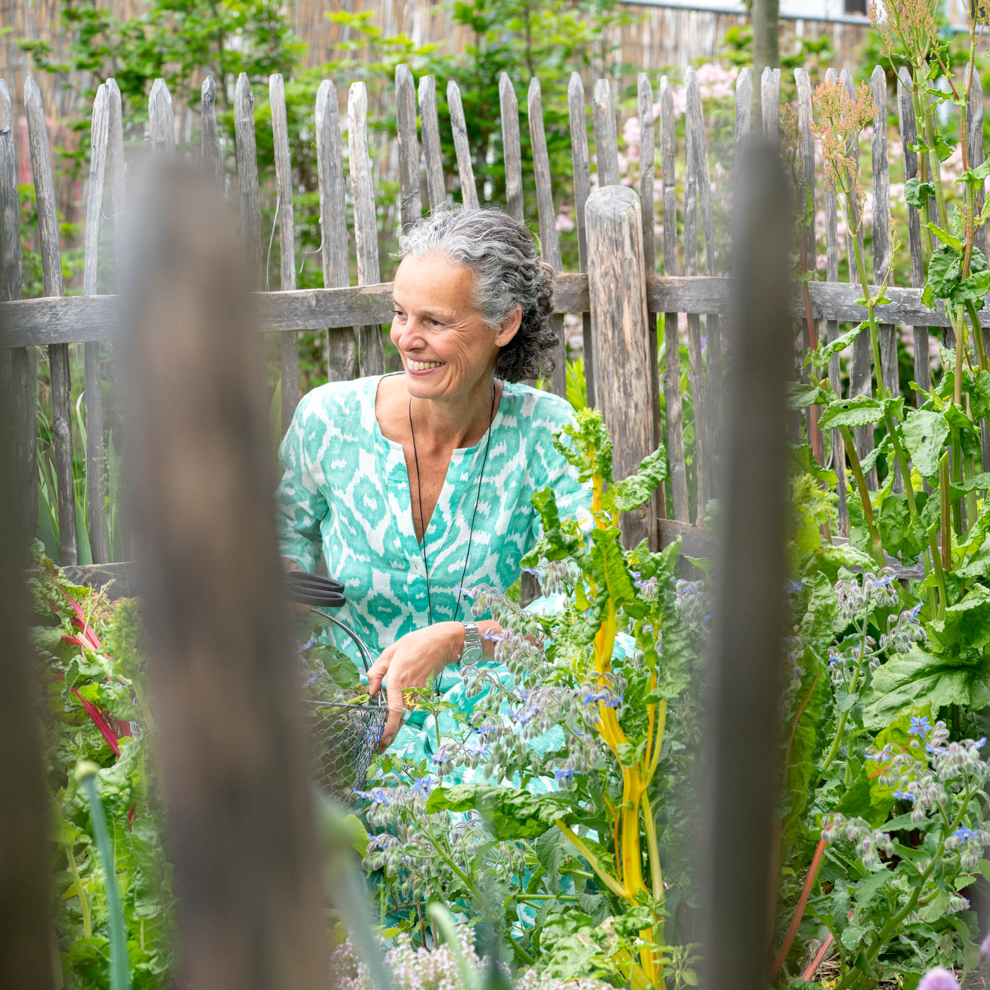 Albererhof Rpeortage