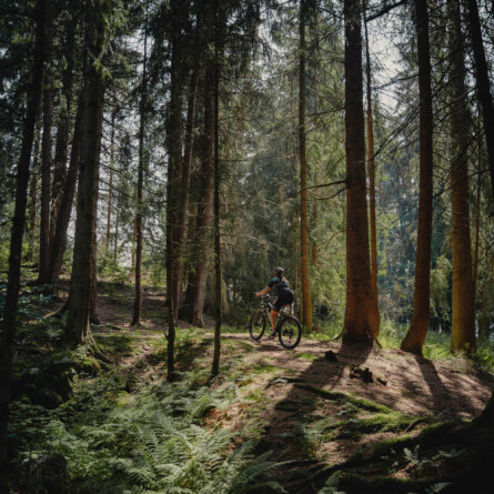 Milla Montis ©Daniel Zangerl-20