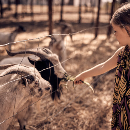 Craveiral Farmhouse-47