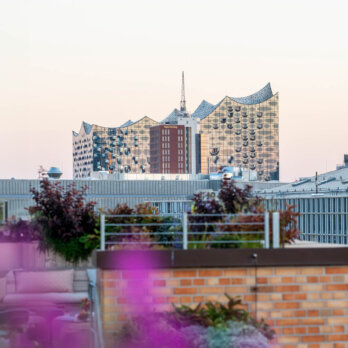 Jardin Tortue Dachterrasse Hamburg-03