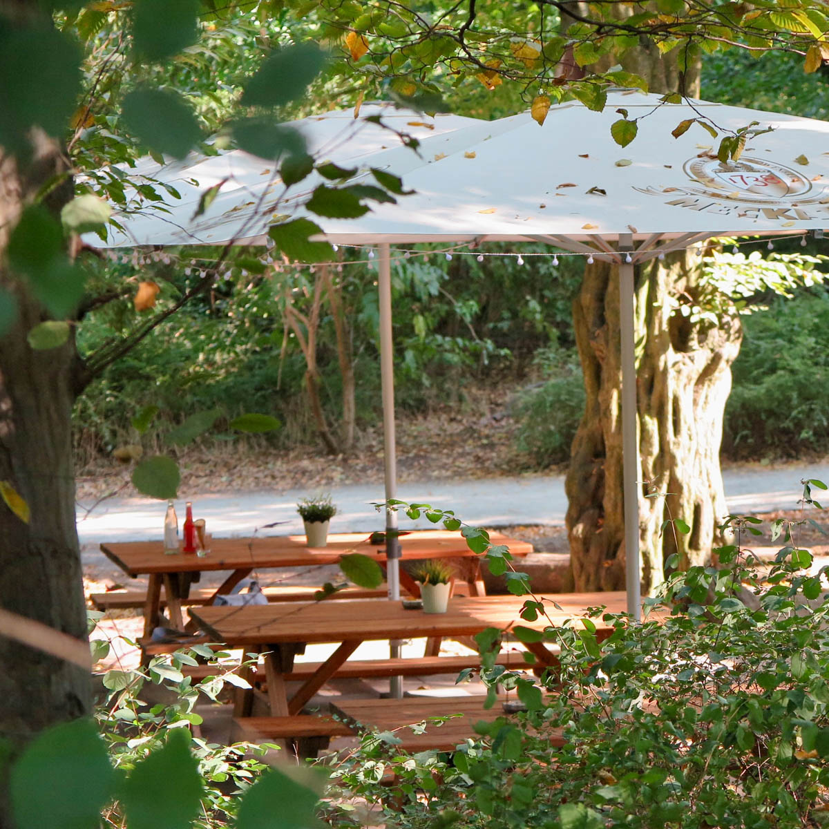 Büdchen am Volkspark Wilmersdorf-01