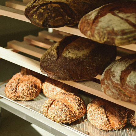 Wilmina Brot Charlottenburg-6