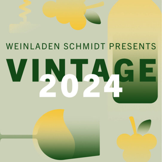 Vintage 2024 V2