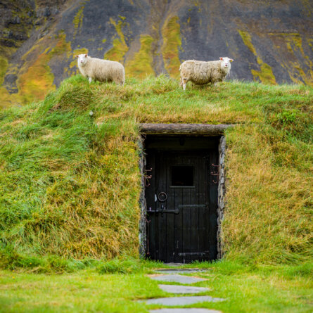 Deplar Farm Island-29