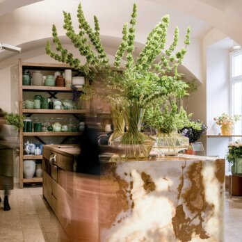 Doll's Re-Opening Doll's Re-Opening