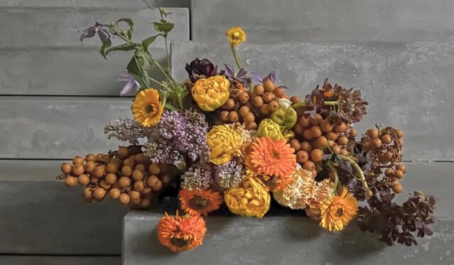 Anatomie Fleur Berlin Anatomie Fleur Berlin