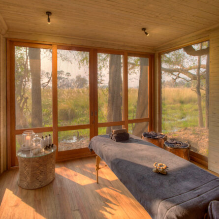 Sandibe Okavango Safari Lodge _ &Beyond-12