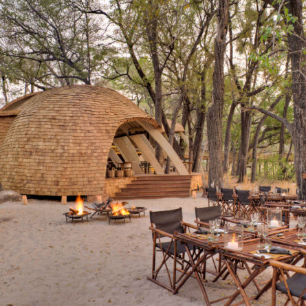 Sandibe Okavango Safari Lodge _ &Beyond-14