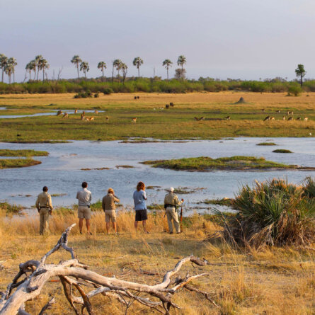 Sandibe Okavango Safari Lodge _ &Beyond-22