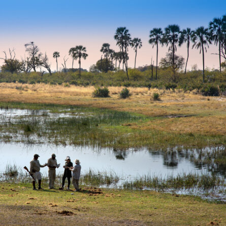 Sandibe Okavango Safari Lodge _ &Beyond-24