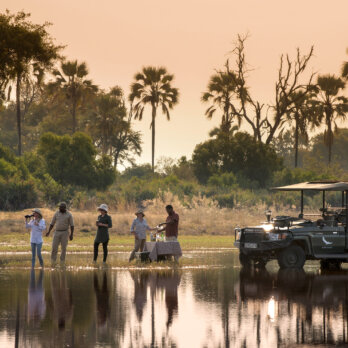 Sandibe Okavango Safari Lodge _ &Beyond-28