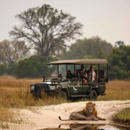 Sandibe Okavango Safari Lodge _ &Beyond-31