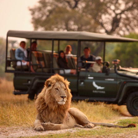 Sandibe Okavango Safari Lodge _ &Beyond-35