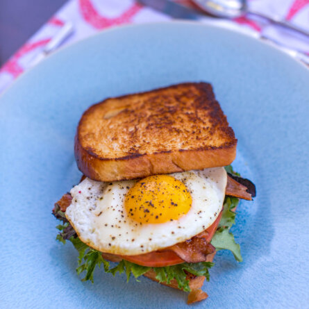 Eleven Bahama House-42