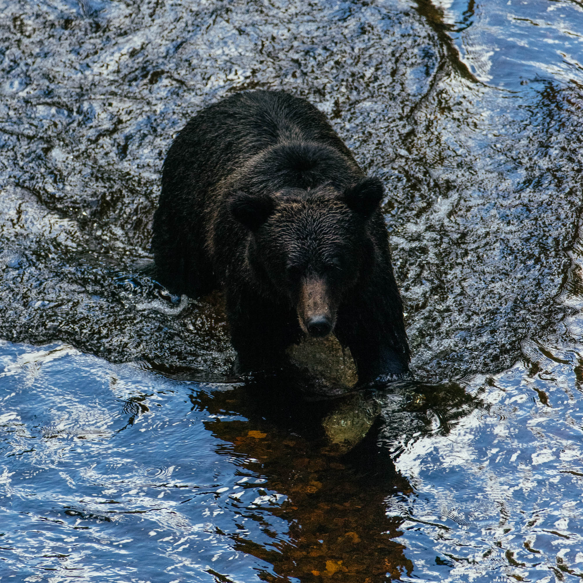 Nimmo Bay _ Canada-22