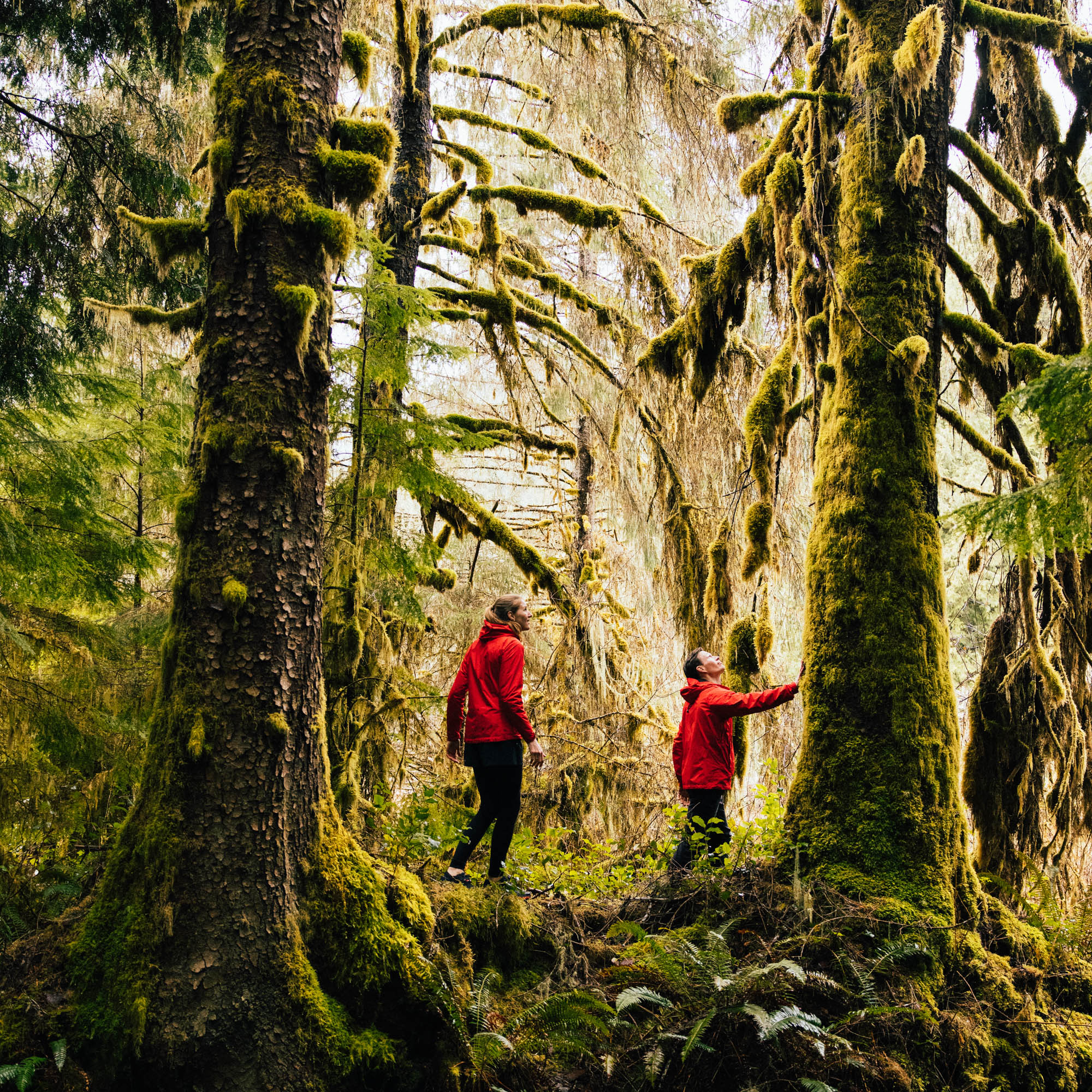 Nimmo Bay _ Canada-32