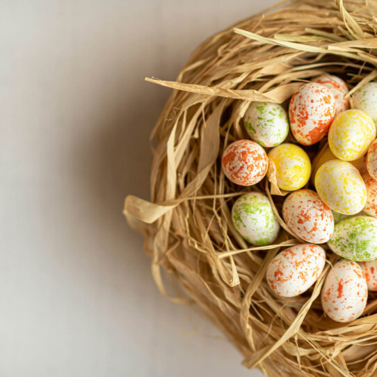 Ostern 2025-1 Ostern 2025-1