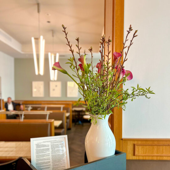 Einstein Mommseneck Charlottenburg-01