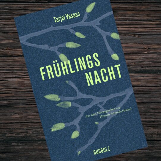 Frühlingsnacht von Tarjei Vesaas