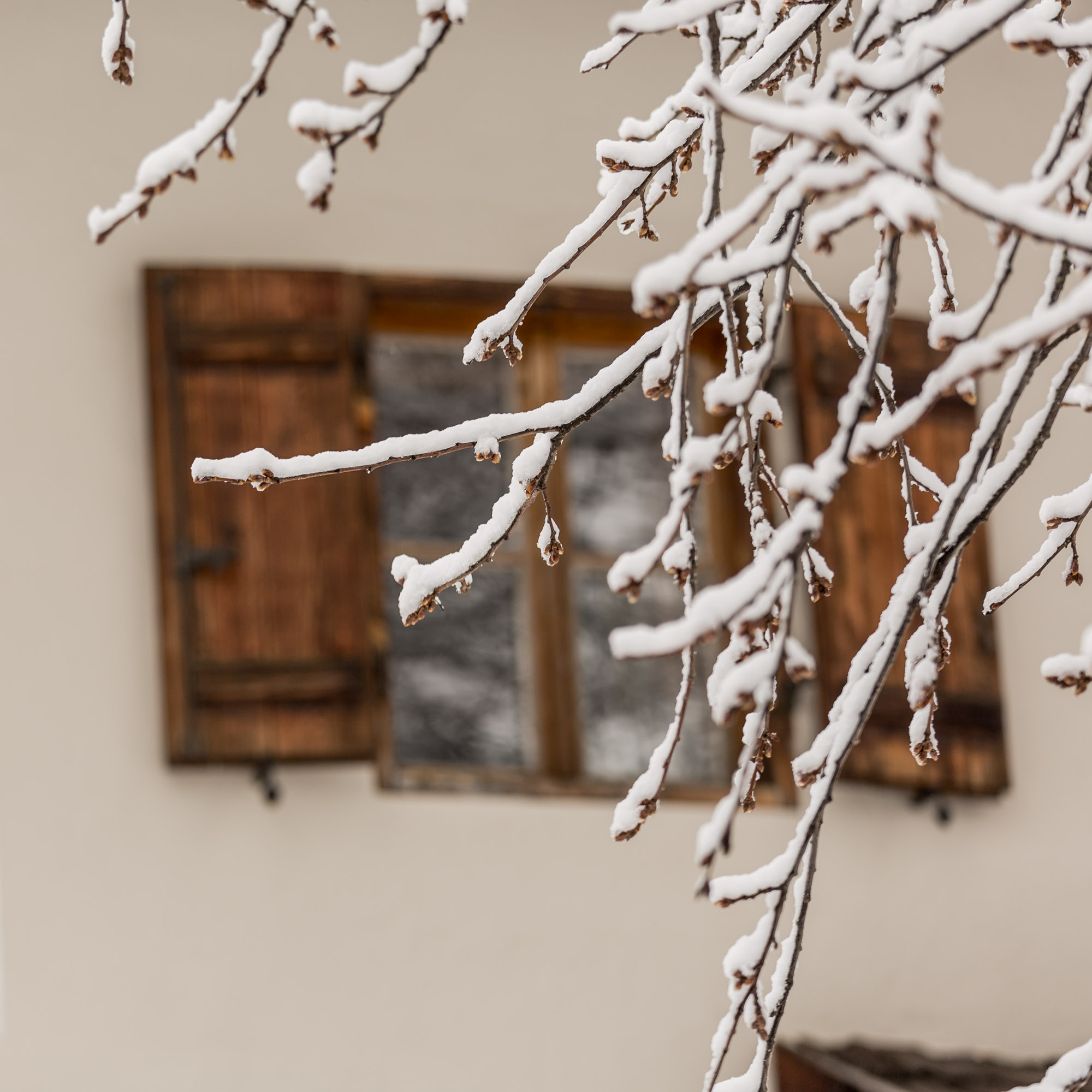 Hafling Chalet Zoila-6