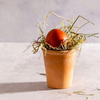 Ostersmenüs Berlin