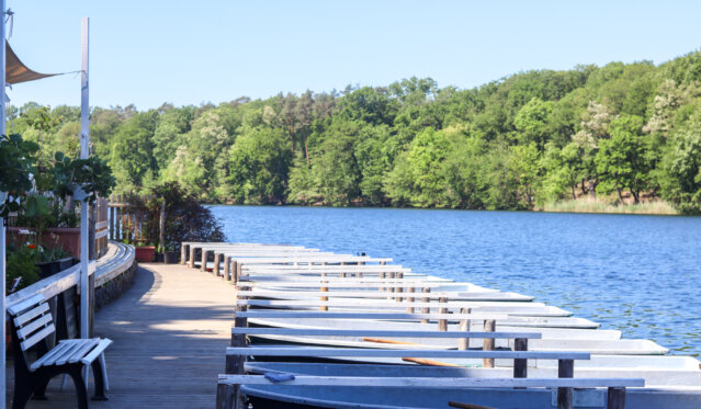 Spaziergang am Schlachtensee Spaziergang am Schlachtensee