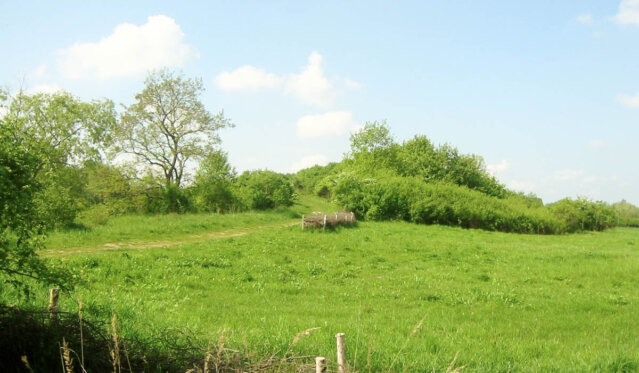 Spaziergang Freizeitpark Marienfelde Spaziergang Freizeitpark Marienfelde
