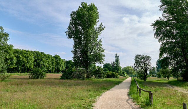 Spaziergang im Gutspark Neukladow Spaziergang im Gutspark Neukladow